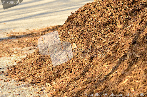 Image of Bark mulch 