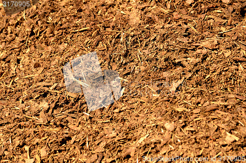 Image of Bark mulch 