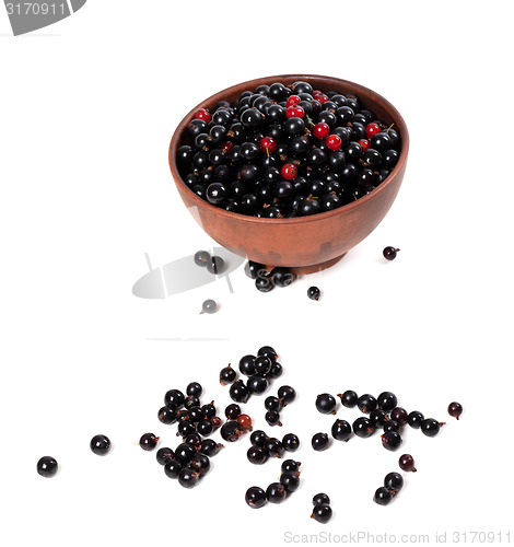 Image of Blackcurrants and redcurrants in ceramic bowl