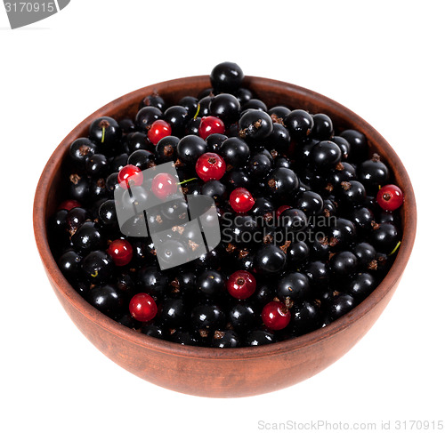 Image of Blackcurrants and redcurrants in ceramic bowl