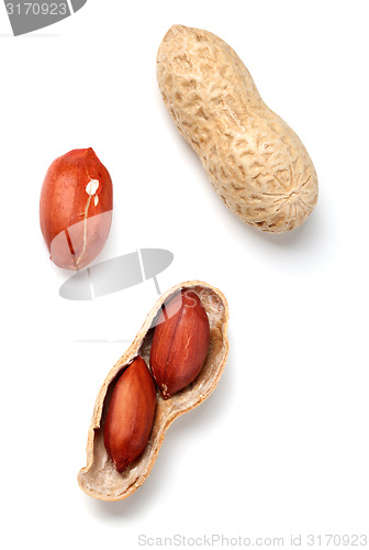 Image of Peanuts on white background