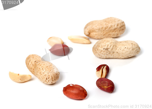 Image of Peanuts on white background