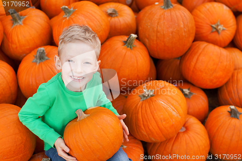 Image of kid at pumpkin patch