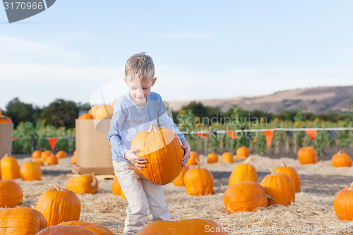 Image of kid at pumpkin patch