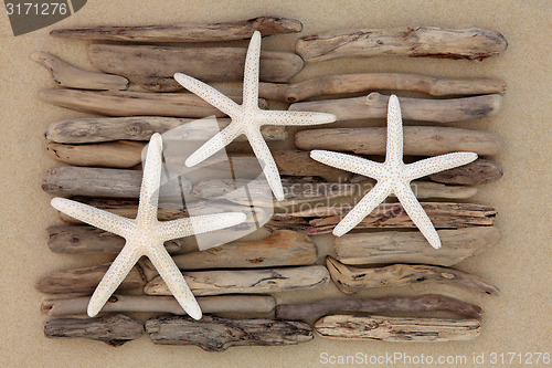 Image of Starfish