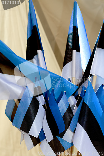 Image of Flags of the Republic of Estonia in blue black white 