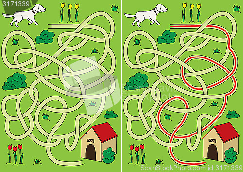 Image of Dog maze