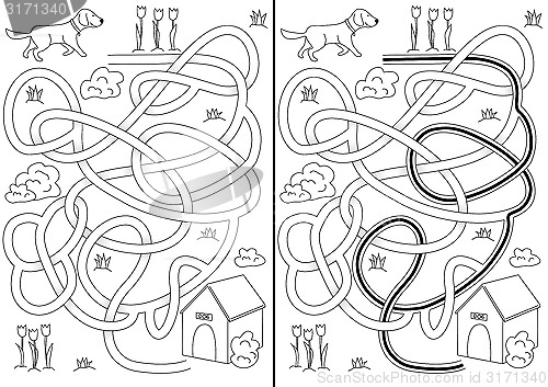 Image of Dog maze