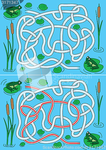 Image of Frogs Maze