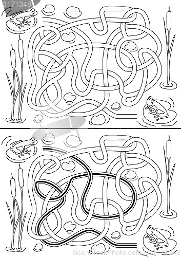 Image of Frogs Maze