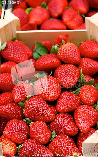 Image of Strawberries