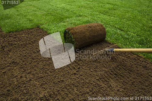 Image of Lawned garden 