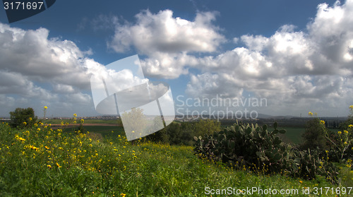 Image of Spring in Israel
