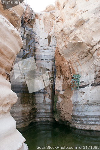 Image of Water spring in a desert