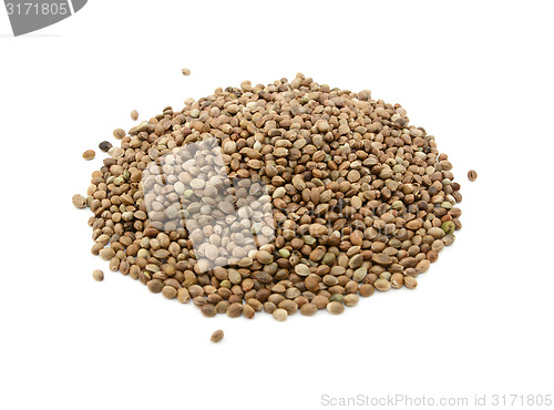 Image of Hemp seeds