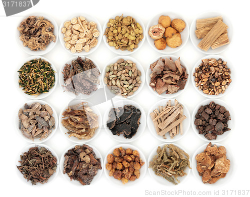 Image of Chinese Herbs