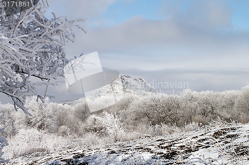 Image of Winter Landscape