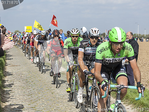 Image of The Peloton- Paris Roubaix 2014