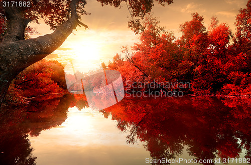 Image of Red autumn on river