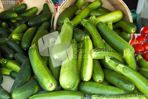 Image of Green Zucchini Squash