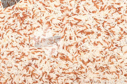 Image of rice background