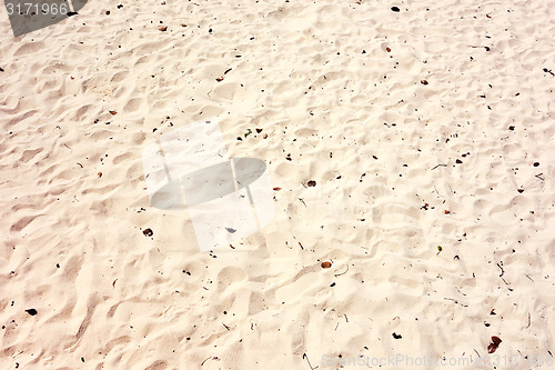 Image of beach sand