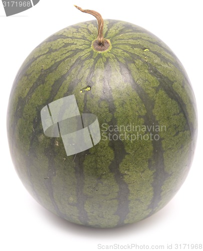 Image of no caption
