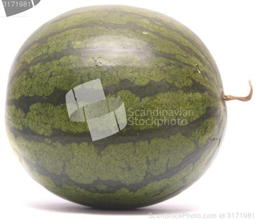 Image of whole watermelon