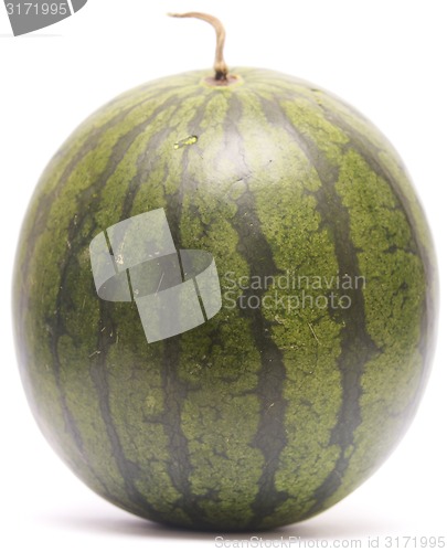 Image of no caption