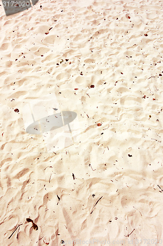 Image of beach sand