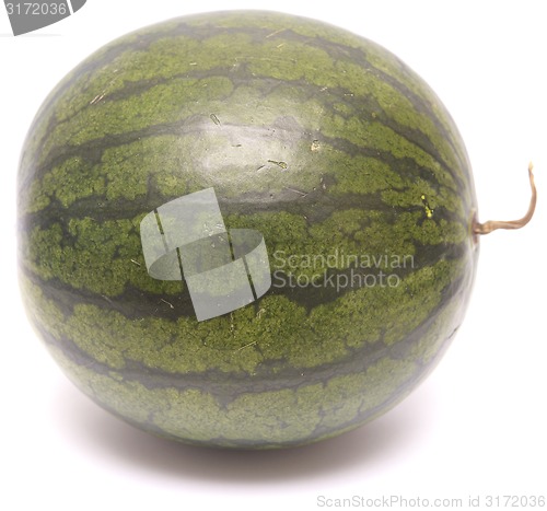 Image of whole watermelon