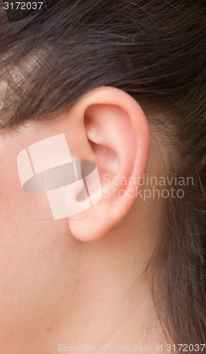 Image of woman ear