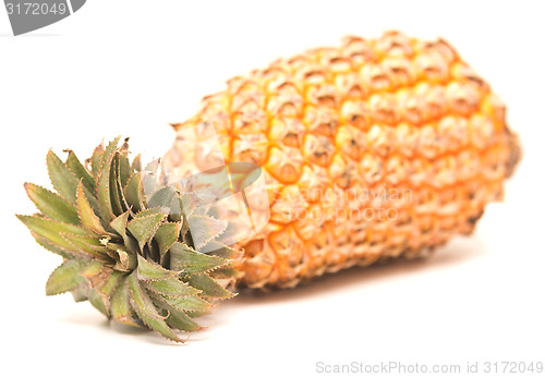 Image of ripe pineapple