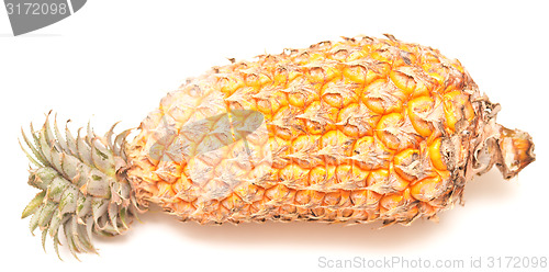 Image of ripe pineapple