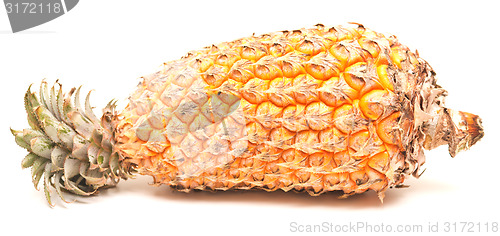 Image of ripe pineapple