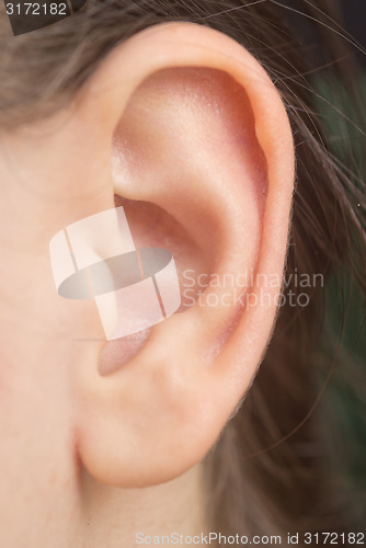 Image of woman ear