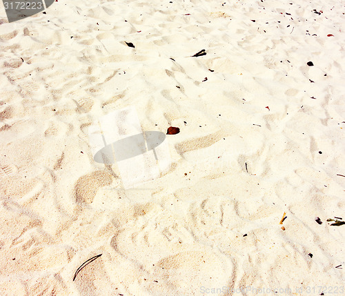 Image of beach sand