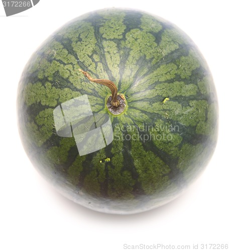 Image of whole watermelon