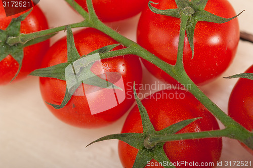 Image of fresh cherry tomatoes on a cluster