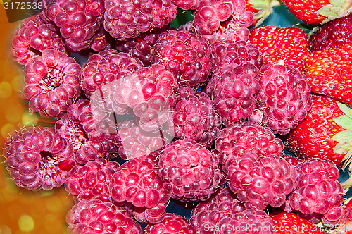 Image of Berry raspberries