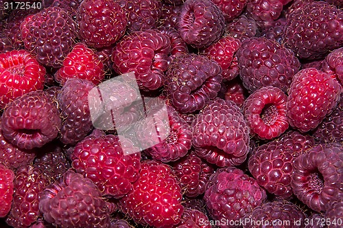 Image of Berry raspberries