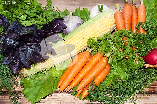 Image of Carrots and fresh greenery
