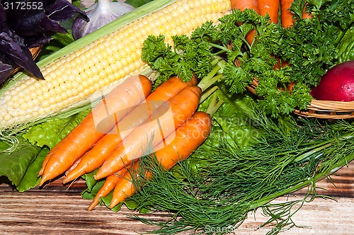 Image of Carrots and fresh greenery
