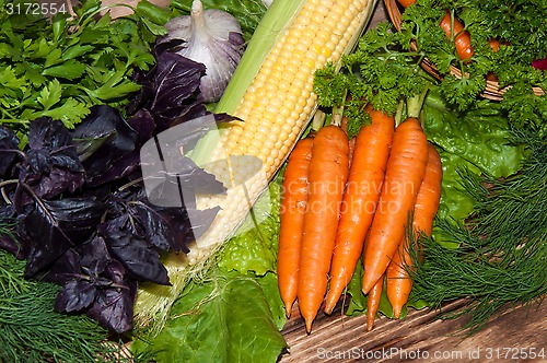 Image of Carrots and fresh greenery