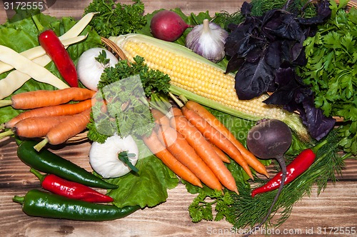 Image of Carrots and fresh greenery