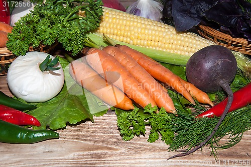 Image of Carrots and fresh greenery