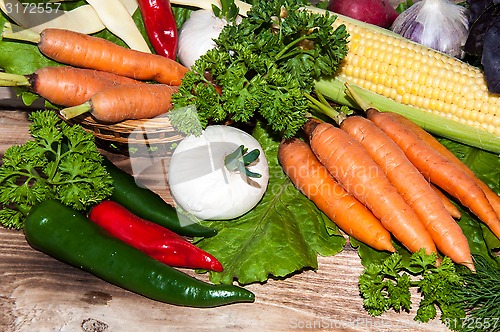 Image of Carrots and fresh greenery