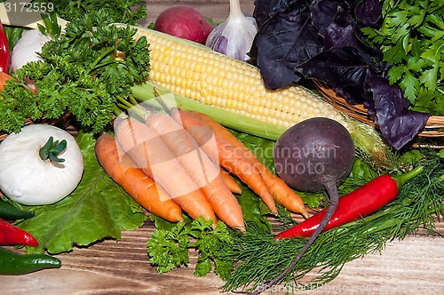 Image of Carrots and fresh greenery
