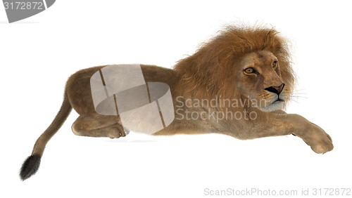 Image of Lion