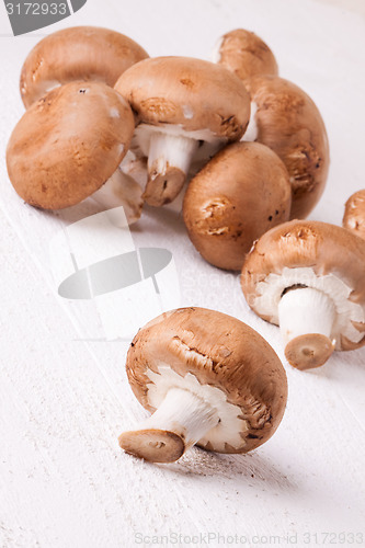 Image of Fresh brown portobello or agaricus mushrooms